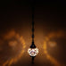 Electric Single Glass Ceiling Pendant - G16